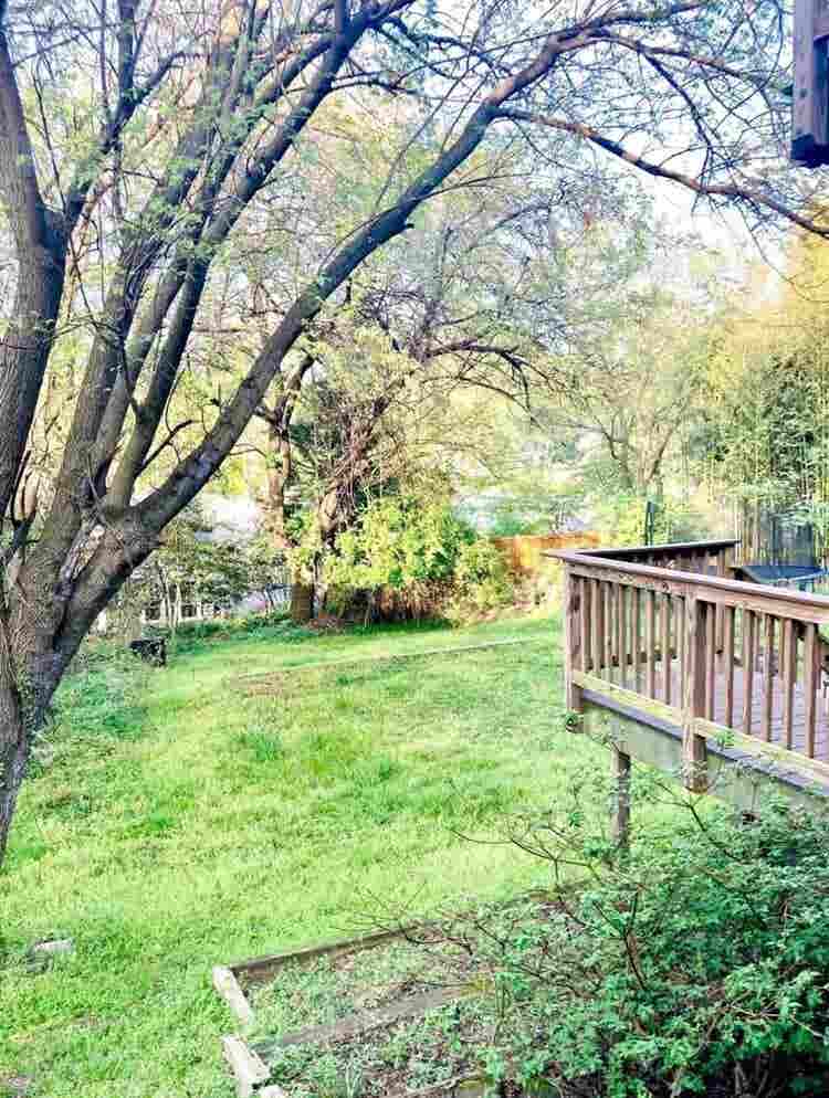 Lovely Takoma Park Flat