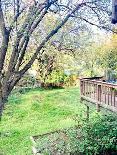 Lovely Takoma Park Flat
