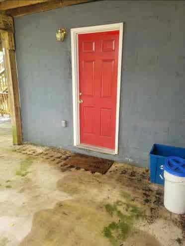 Lovely Takoma Park Flat