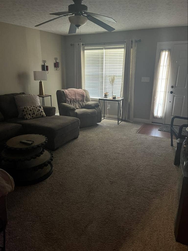 Roommate Wanted