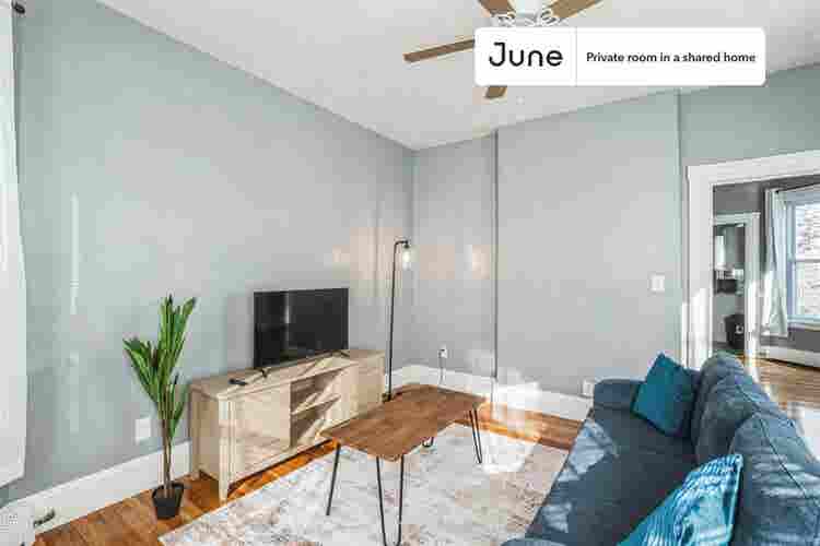 4 BR in Boston