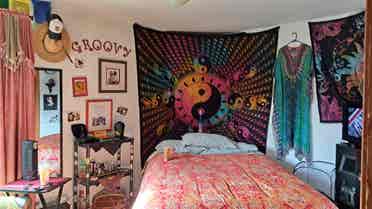 Rooms in Lovely Sebastopol home!
