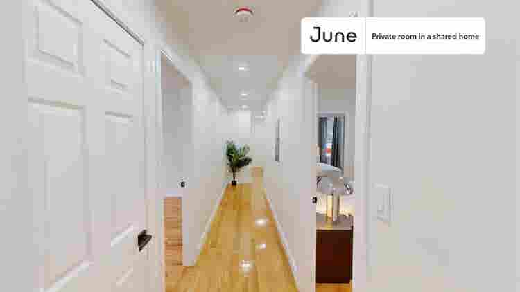 4 BR in Boston