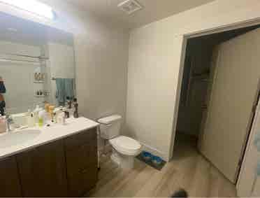 Clearfield Roommate Wanted
