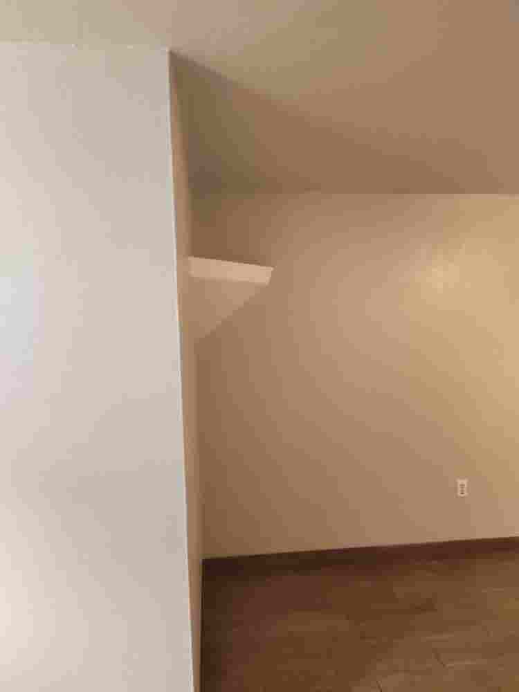 Urgent roommate wanted
