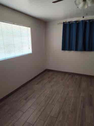 Urgent roommate wanted