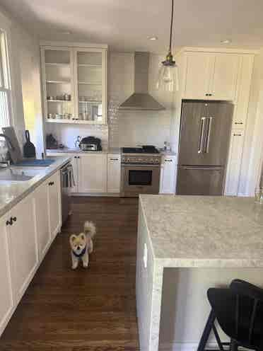 Roommate wanted