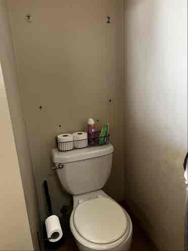 Female roommate, no couples, no men