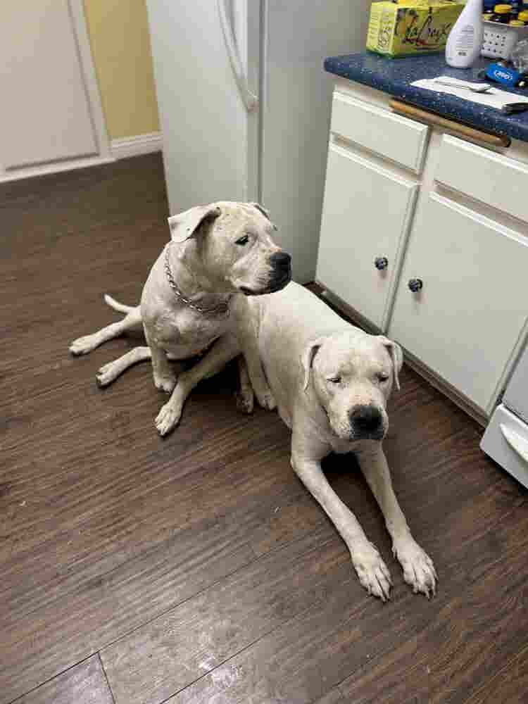Room for rent in 3 bedroom home