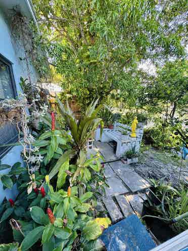 Tropical hideaway