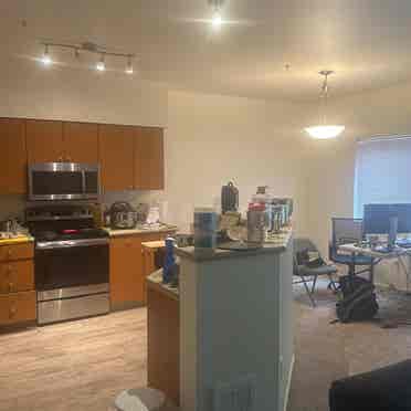 single room in redmond