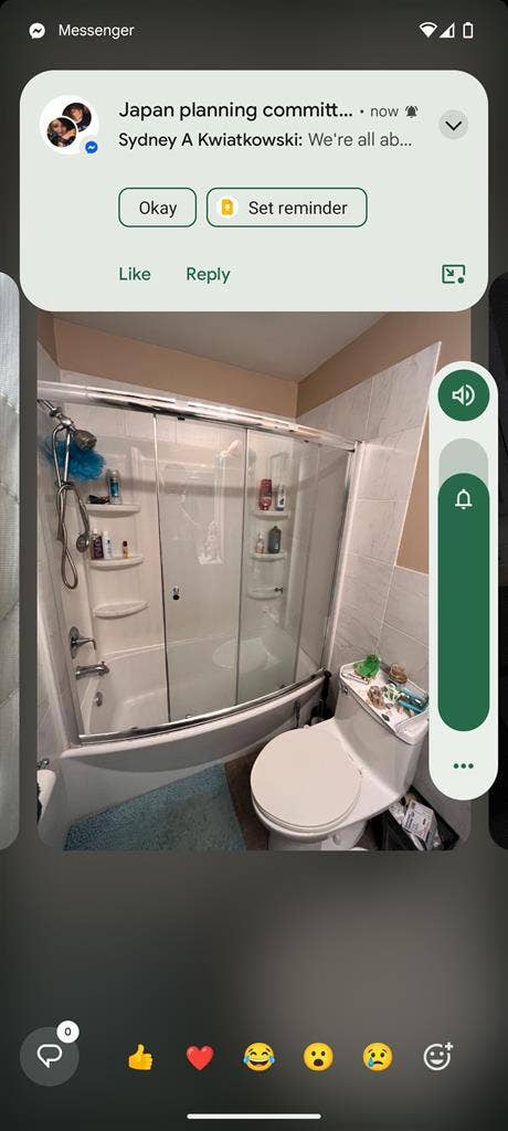 Looking for a Roommate