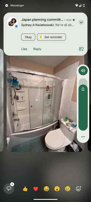 Looking for a Roommate