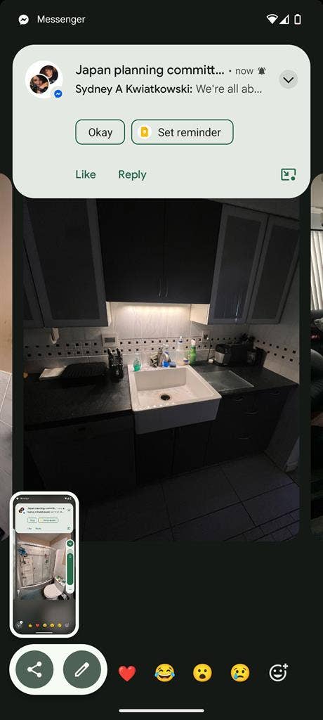 Looking for a Roommate