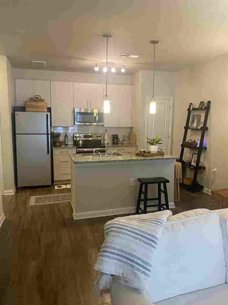 Adorable 1BR apt in Greenville SC