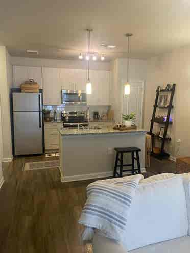 Adorable 1BR apt in Greenville SC