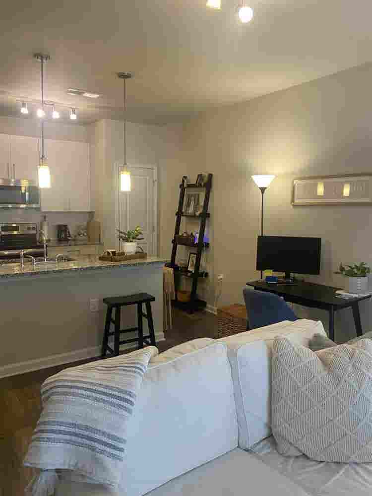Adorable 1BR apt in Greenville SC