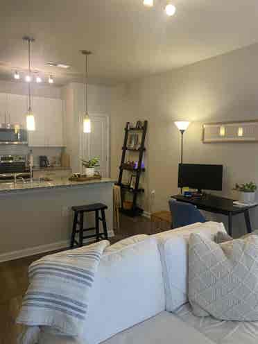 Adorable 1BR apt in Greenville SC