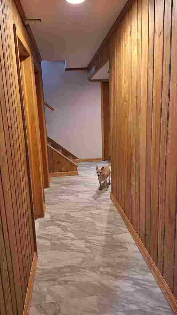 First floor in big house