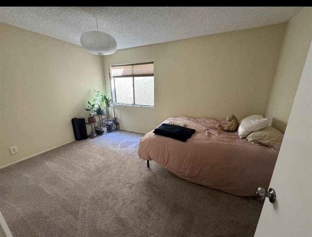 Spacious Private room & bath