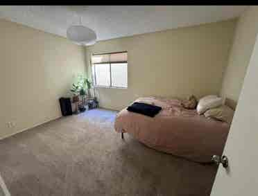 Spacious Private room & bath