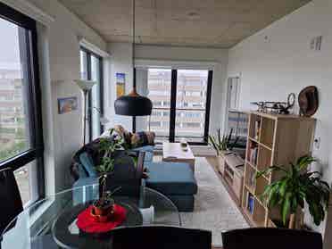 Bright room in a new building