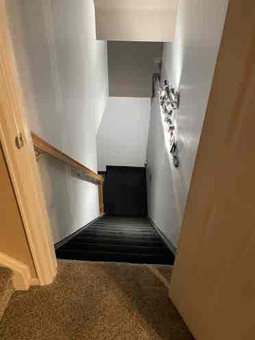 Looking for roommate