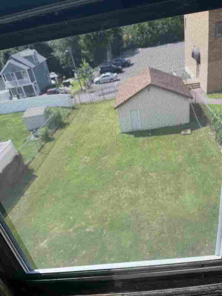 Nice Private room for rent /m