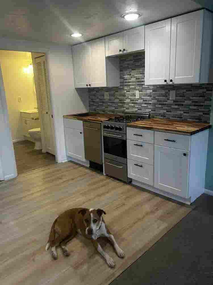 Basement apartment for rent