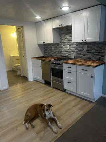 Basement apartment for rent