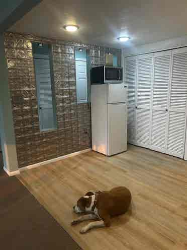 Basement apartment for rent
