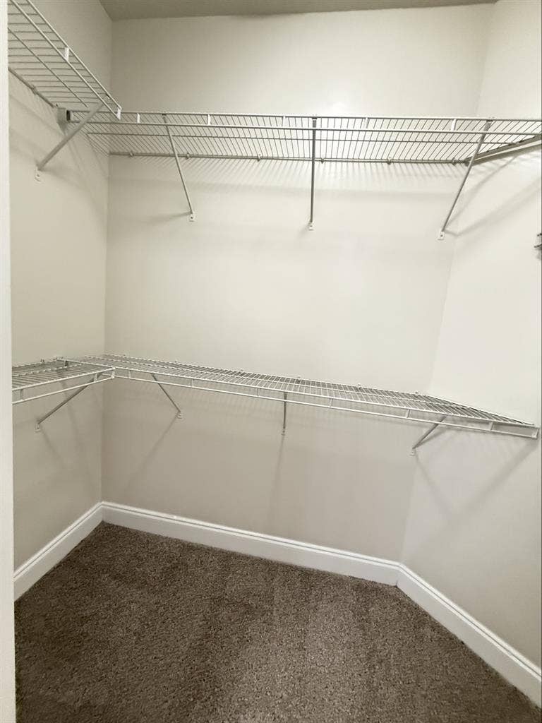 Rent suit in Millenia