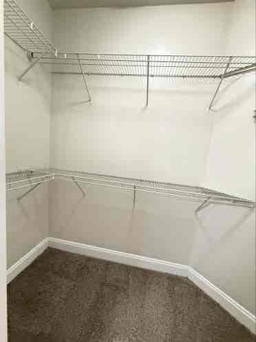 Rent suit in Millenia