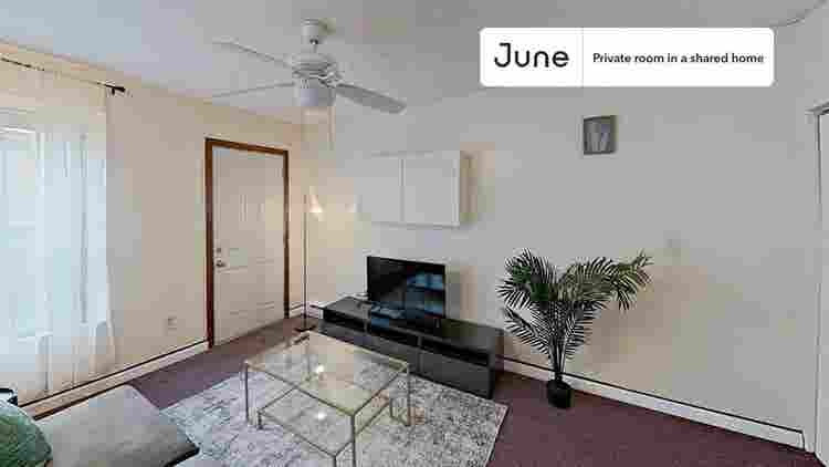 3 BR in Boston