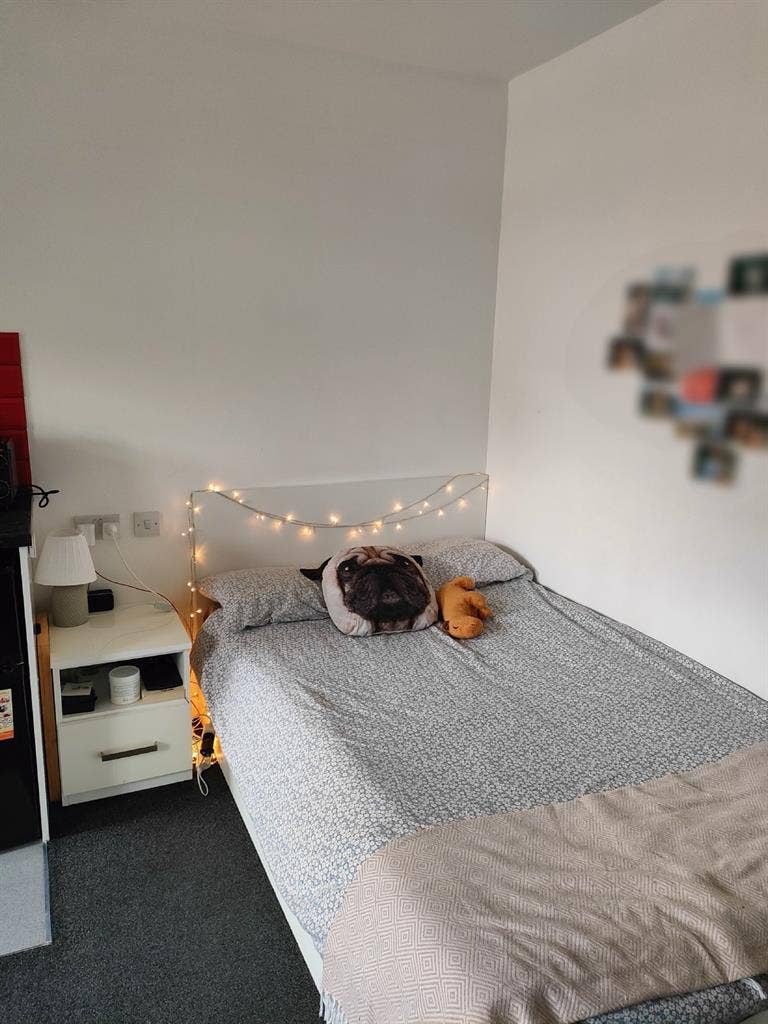 Furnished Studio in Leicesterr