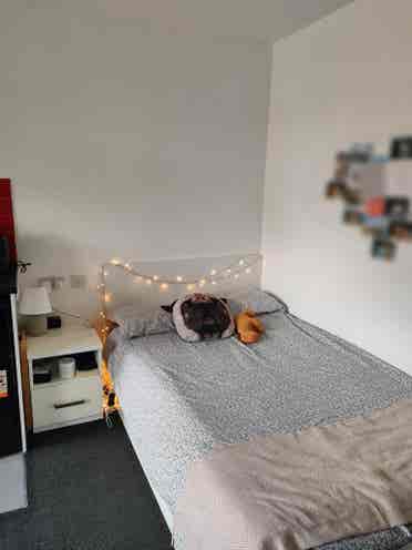 Furnished Studio in Leicesterr