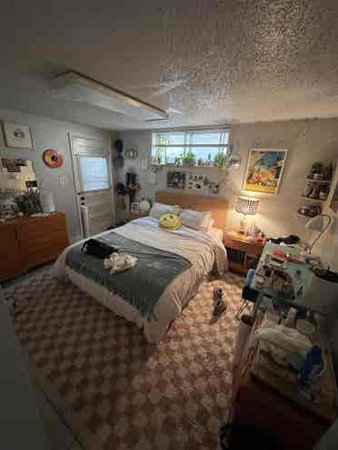Looking for roommates!