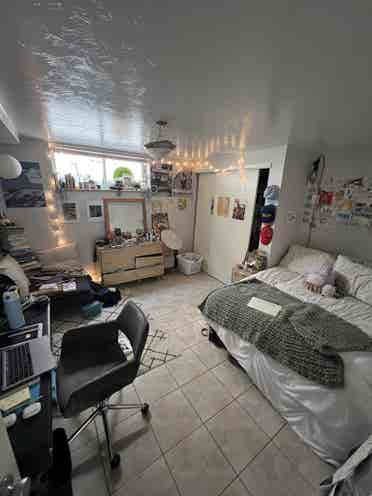 Looking for roommates!