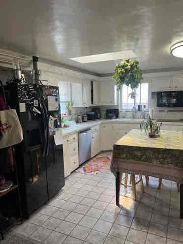 Looking for roommates!