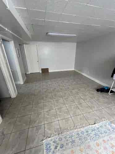 Looking for roommates!