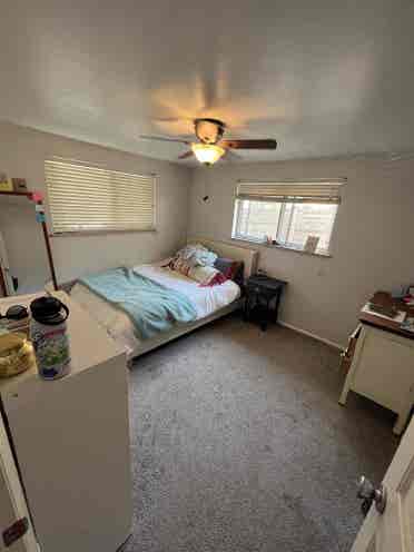 Looking for roommates!