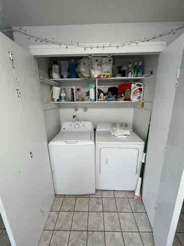 Looking for roommates!