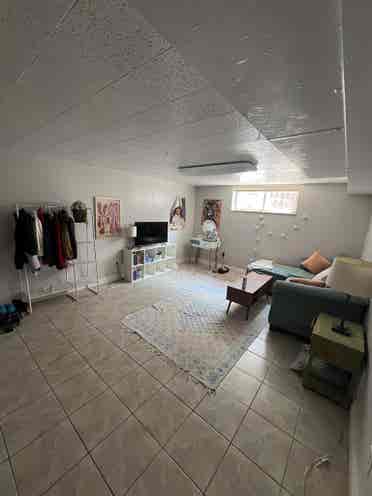 Looking for roommates!