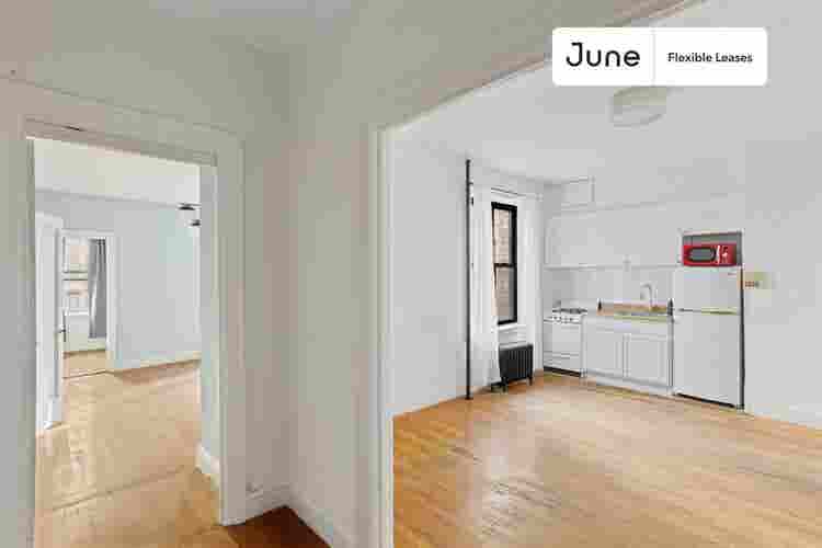 1 BR in New York City
