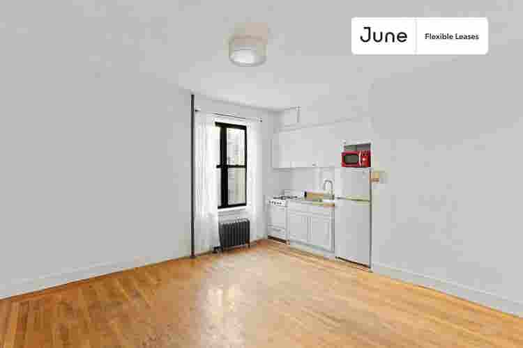 1 BR in New York City