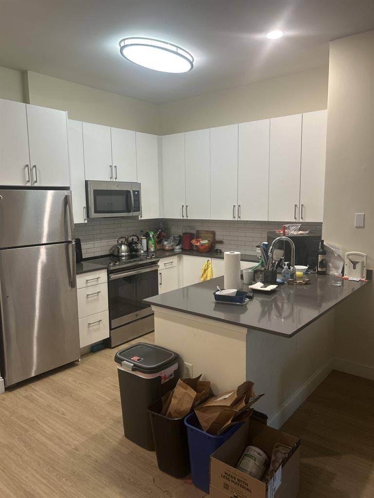 Looking for a roommate