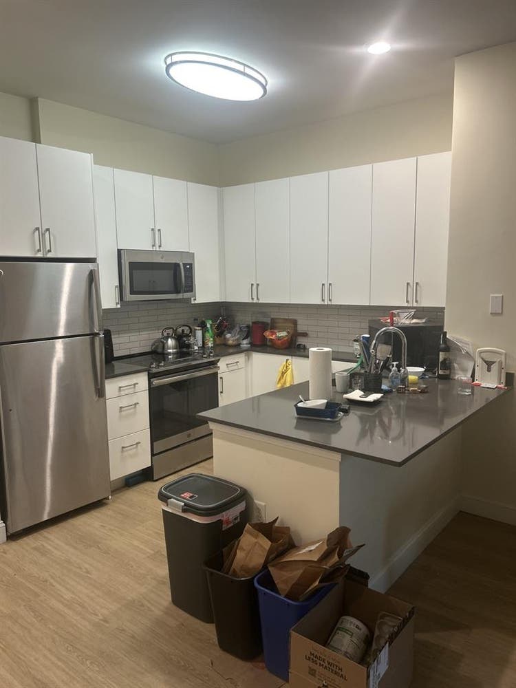 Looking for a roommate