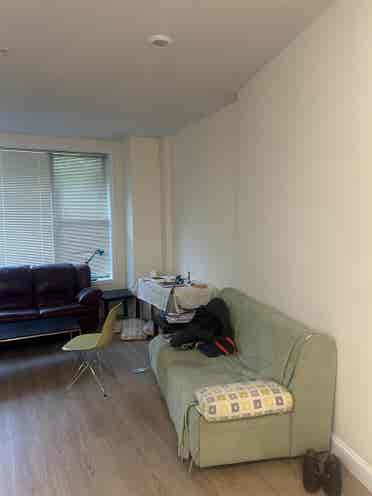 Looking for a roommate