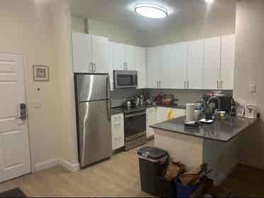 Looking for a roommate