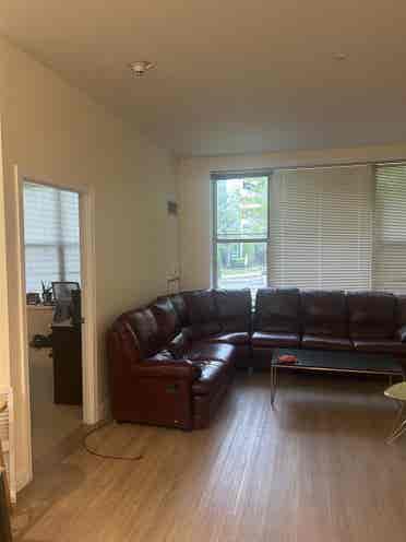 Looking for a roommate
